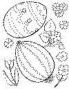paquescolor27.gif (18651 octets)