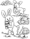 paquescolor29.gif (18331 octets)